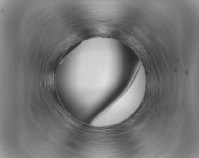 X0000088850425200706080730