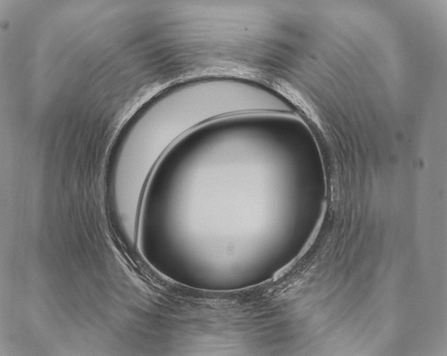 X0000088850436200706080729
