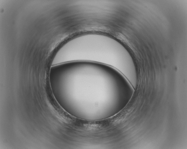 X0000088850448200706080730