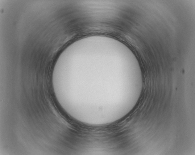 X0000088850456200706080730