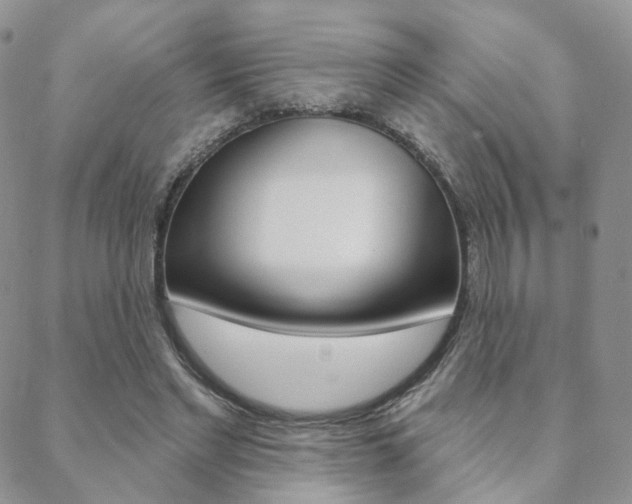 X0000088850493200706080729