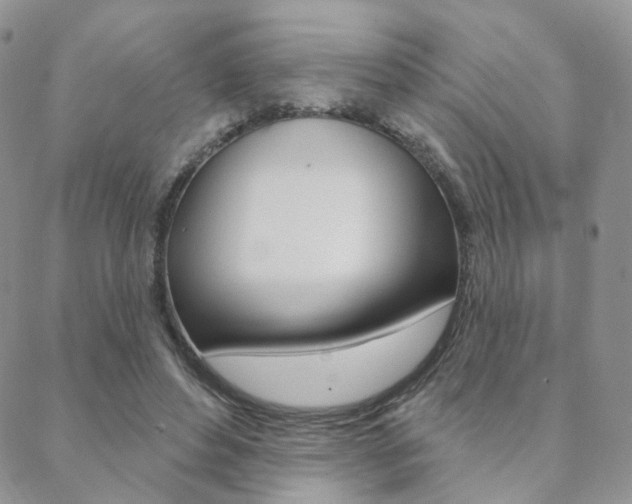 X0000088850496200706080729