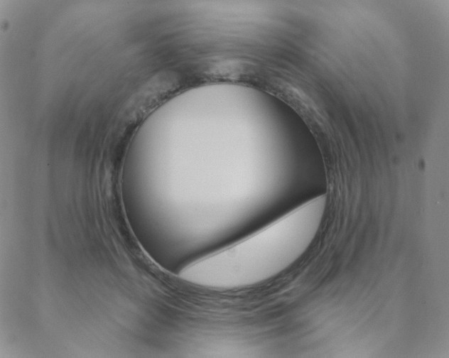 X0000088850504200706080729