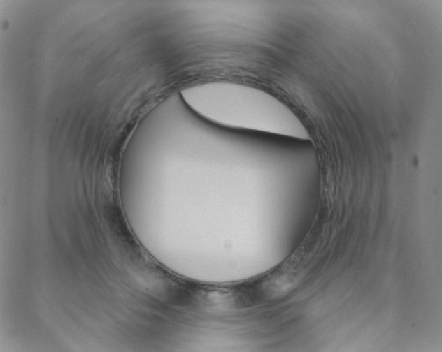 X0000088850506200706080729