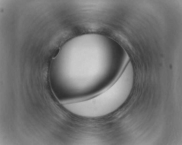 X0000088850509200706080729