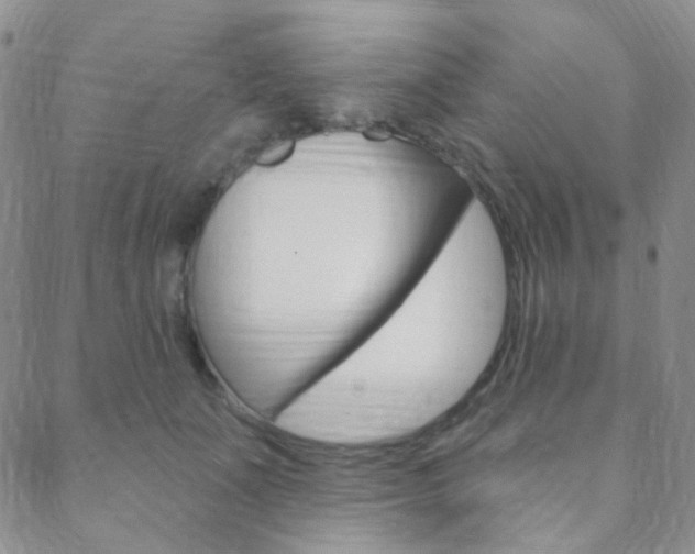 X0000088850511200706080729