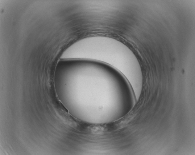 X0000088850512200706080729