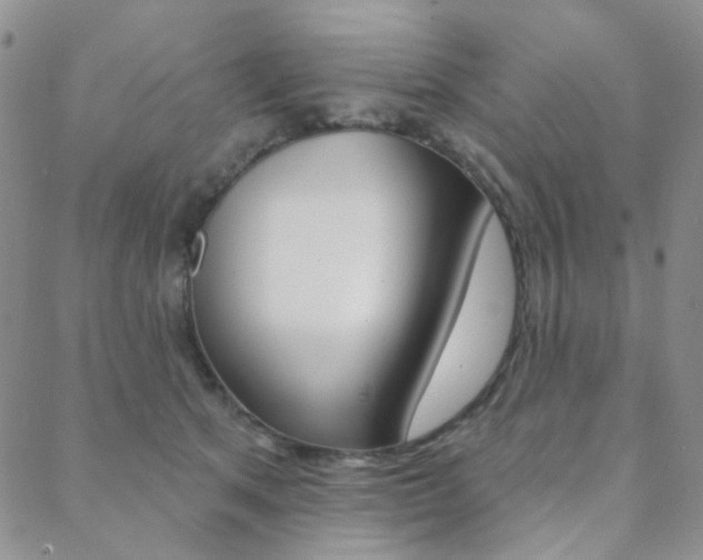 X0000088850513200706080729