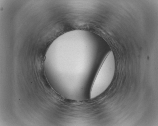 X0000088850515200706080729