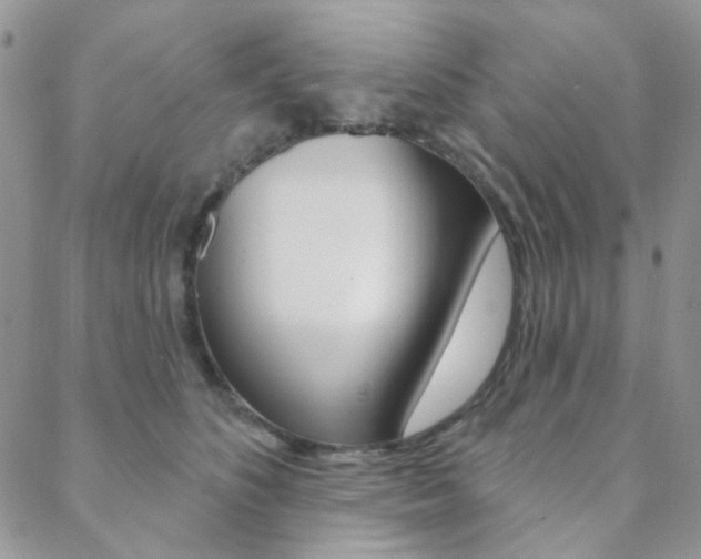 X0000088850516200706080729