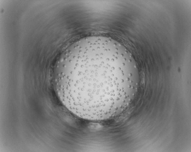 X0000088850519200706080729