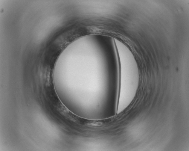 X0000088850525200706080729