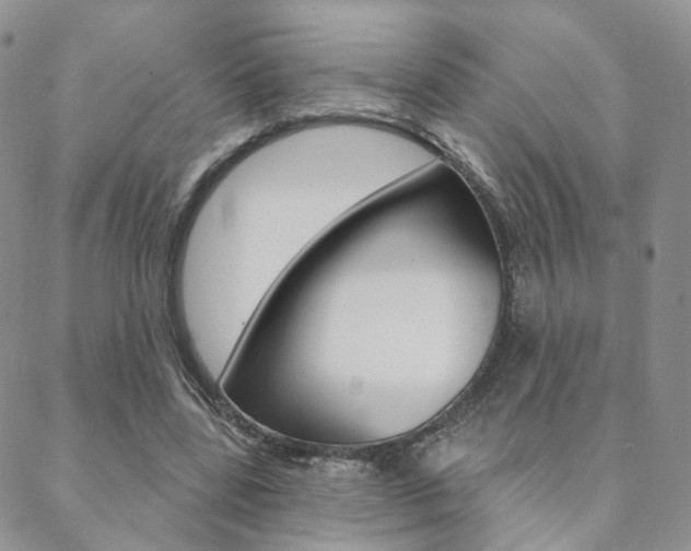 X0000088850539200706080728