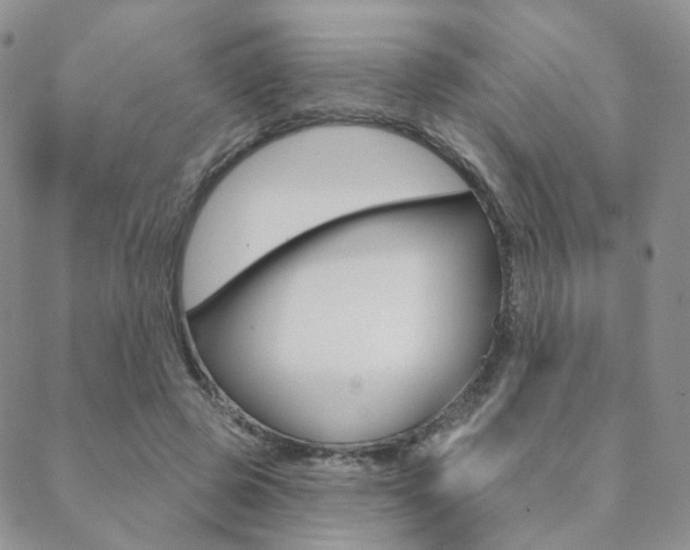 X0000088850545200706080728