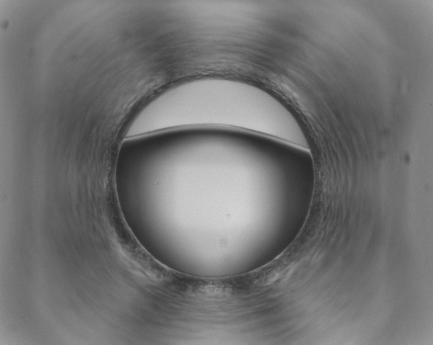 X0000088850546200706080728