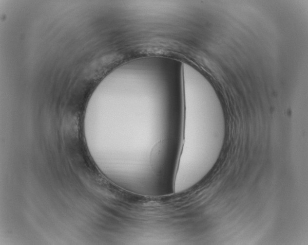 X0000088850551200706080728