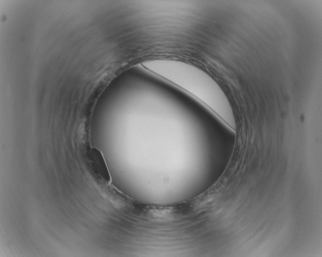 X0000088850560200706080728