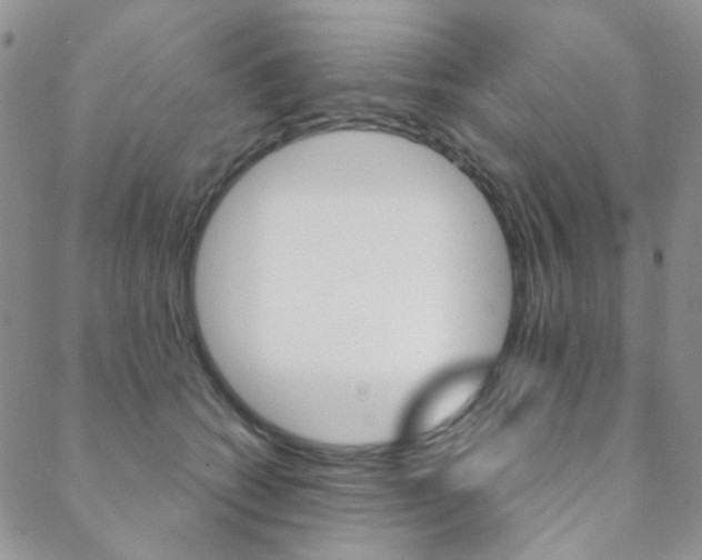 X0000088850562200706080728