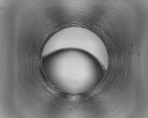 X0000088850564200706080728