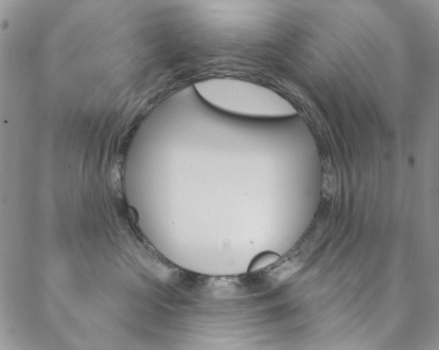 X0000088850573200706080728
