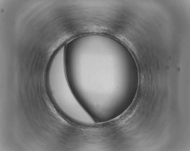 X0000088850581200706080728