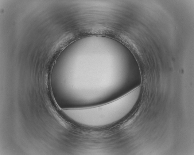 X0000088850589200706080727