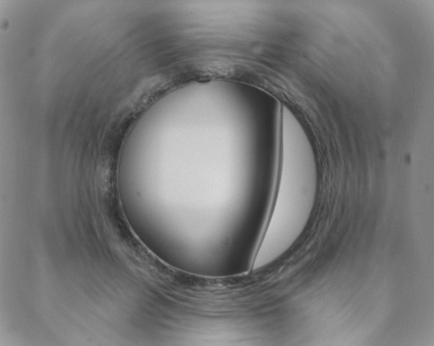 X0000088850600200706080727