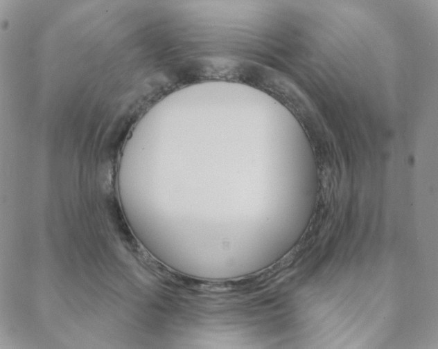 X0000088850602200706080727