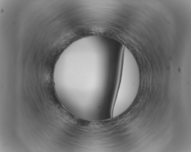 X0000088850608200706080727