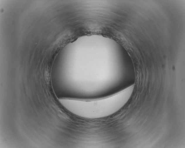 X0000088850609200706080727