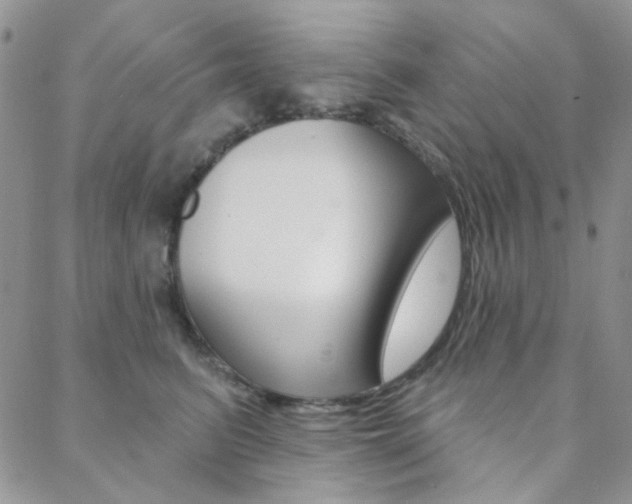 X0000088850615200706080727