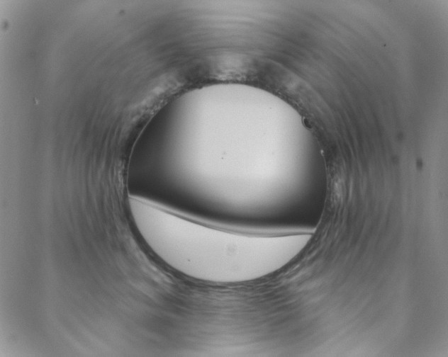 X0000088850620200706080727