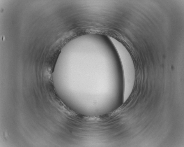 X0000088850621200706080727
