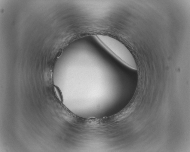 X0000088850624200706080727