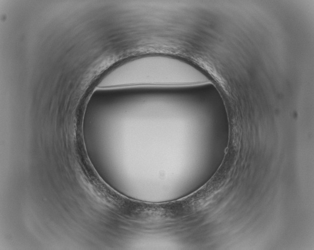 X0000088850631200706080726