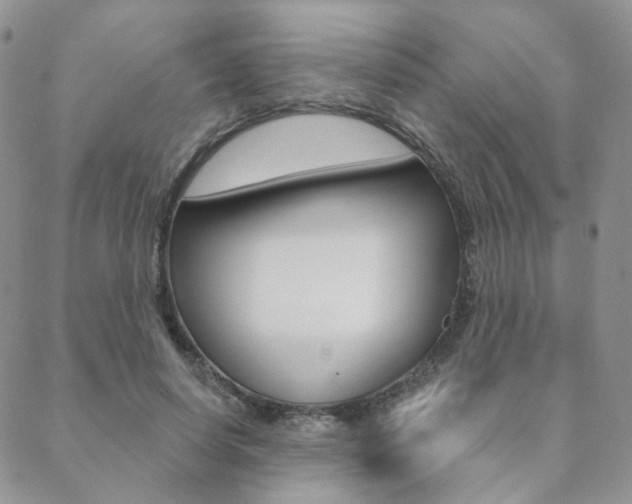X0000088850642200706080726