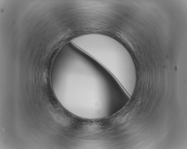 X0000088850643200706080726