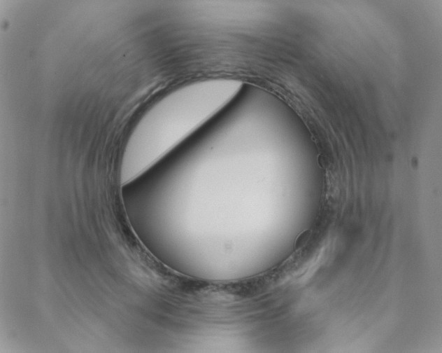 X0000088850648200706080727