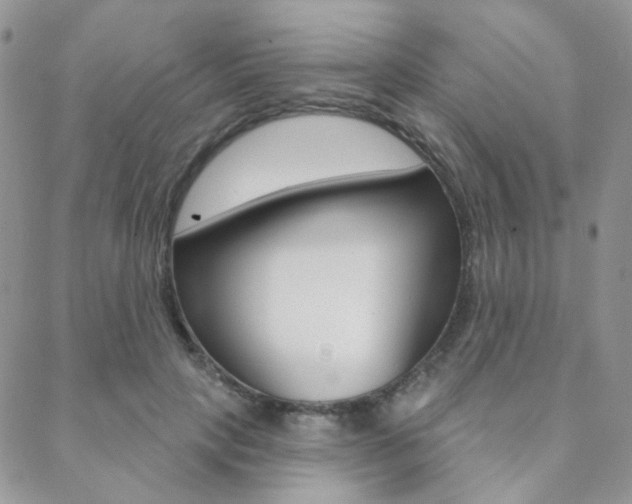X0000088850649200706080727