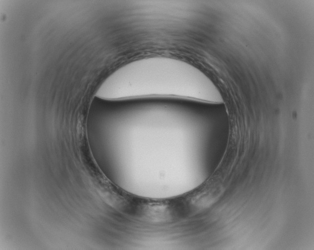 X0000088850651200706080727