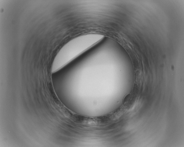 X0000088850655200706080727