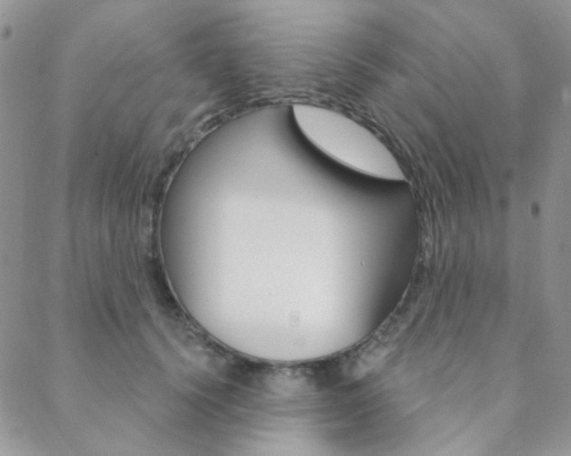 X0000088850656200706080727