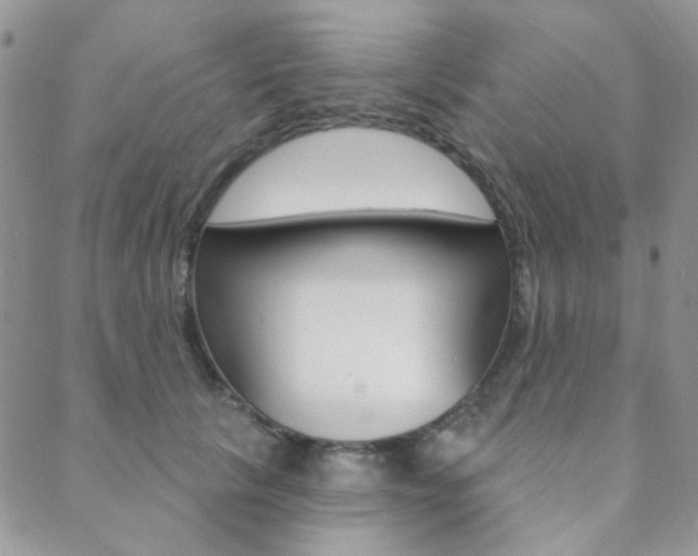 X0000088850657200706080727