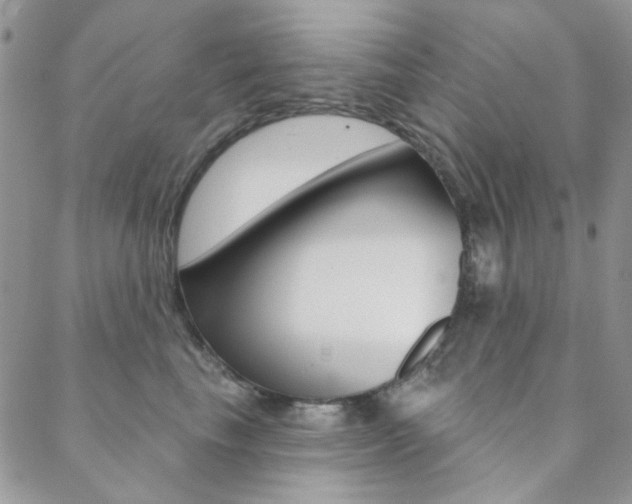 X0000088850665200706080727