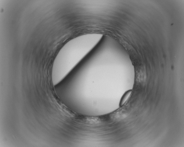 X0000088850666200706080727