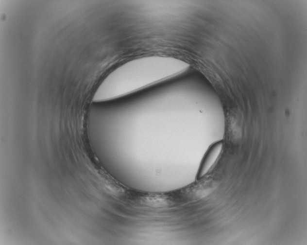 X0000088850668200706080727