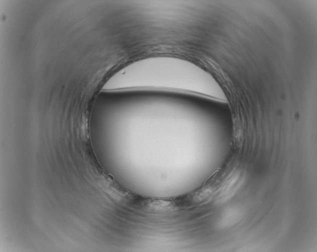 X0000088850669200706080727