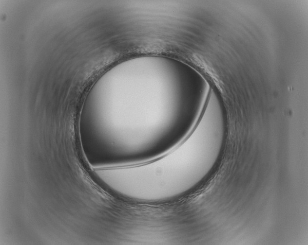 X0000088850681200706080726