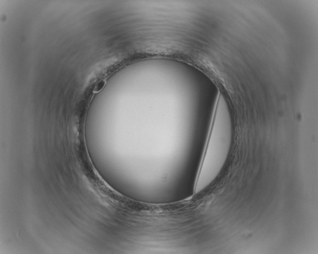 X0000088850688200706080726