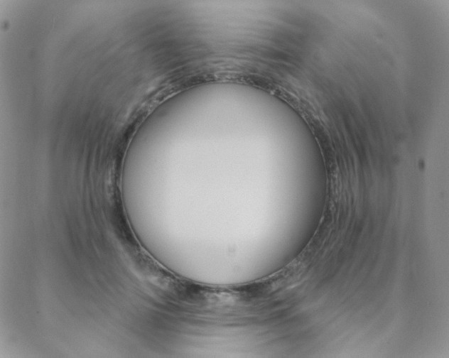 X0000088850698200706080726